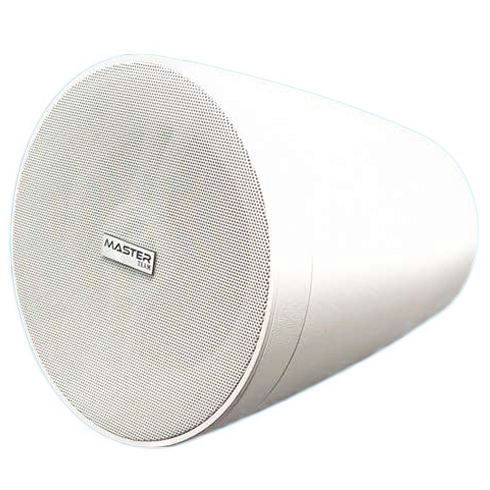مكبر الصوت الجدار Masterteam MT-HWS-550-W