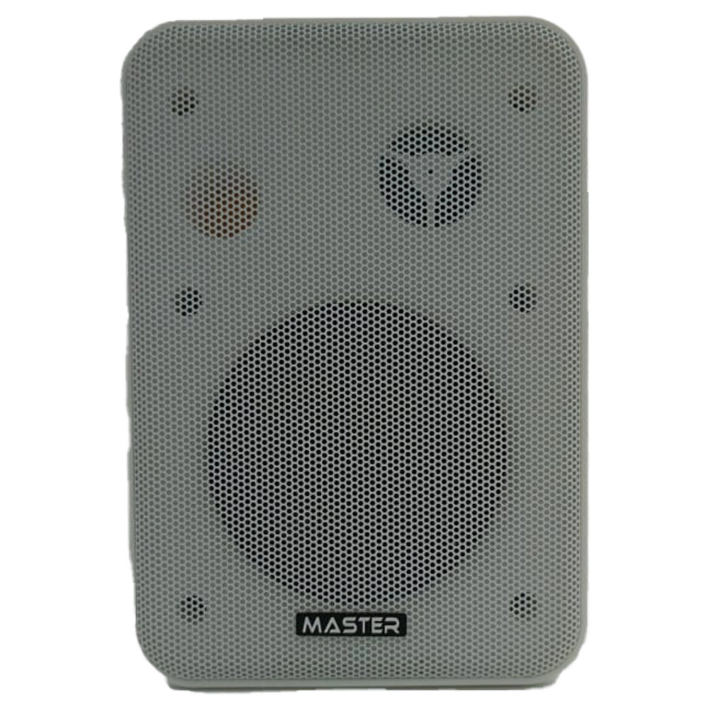 Masterteam Wall Speaker MT-WA804-W