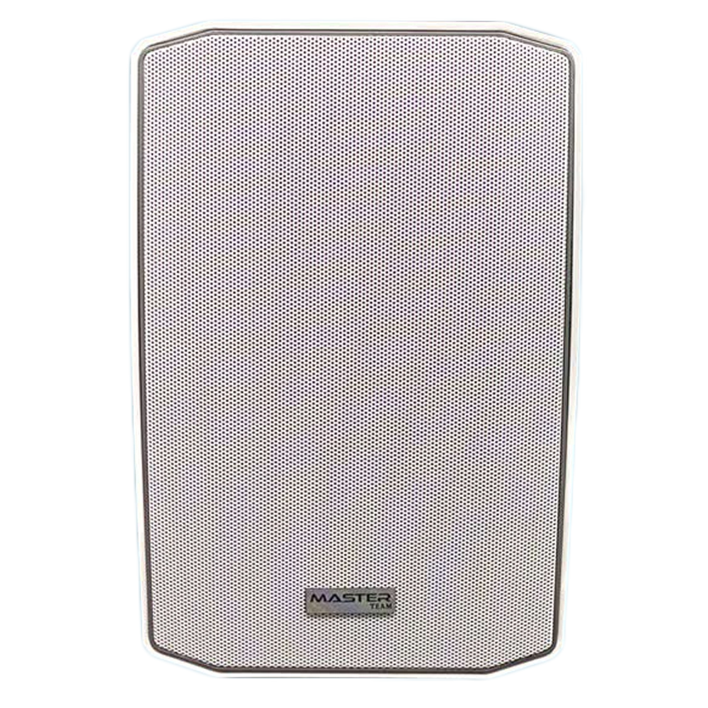 Masterteam Wall Speaker MT-6TF